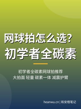 网球拍怎么选？初学者全碳素网球拍推荐