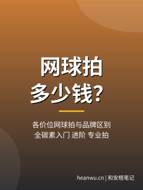 网球拍多少钱一个？各价位网球拍与品牌区别