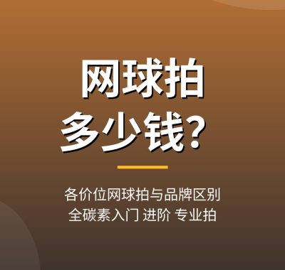 网球拍多少钱一个？各价位网球拍与品牌区别
