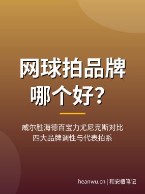 网球拍品牌哪个好？威尔胜海德百宝力尤尼克斯对比
