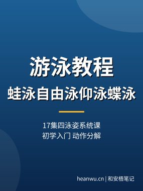 游泳教程：17集蛙泳自由泳仰泳蝶泳动作分解，夸克网盘下载