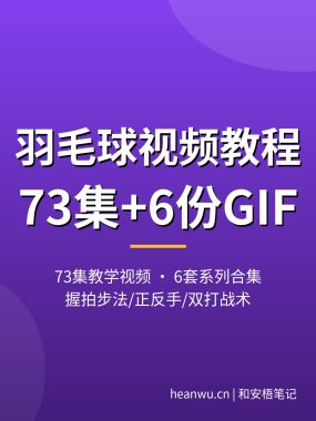 羽毛球视频教程【73集6套】握拍步法到双打战术 夸克网盘下载