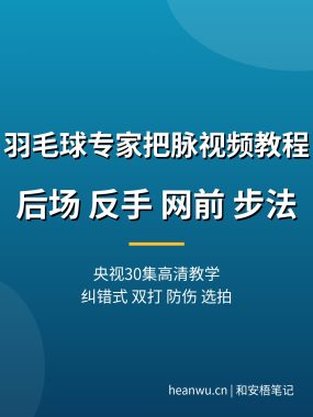 羽毛球专家把脉视频教程【央视30集】纠错式教学夸克网盘