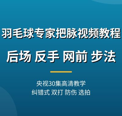 羽毛球专家把脉视频教程【央视30集】纠错式教学夸克网盘