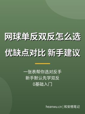 网球单反和双反怎么选教程：优缺点对比，新手建议（0基础入门）